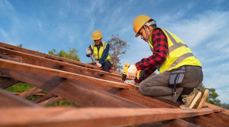 Professional gutter cleaning in Lower Peach Tree, AL